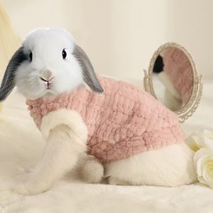 给小兔子穿的专用小衣服垂耳侏儒小白兔宠物过冬用品冬季保暖加厚