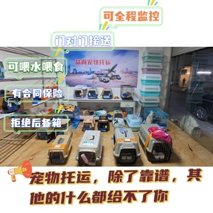 广西南宁桂林柳州北海宠物托运-全国往返-门对门接送-24小时监控