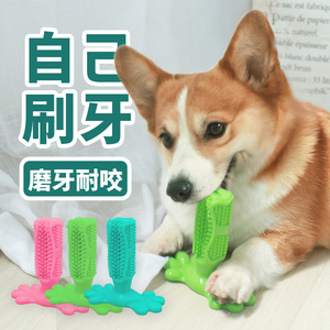 狗狗玩具磨牙棒牙刷除口臭刷牙耐咬磨牙洁齿神器柯基宠物用品幼犬
