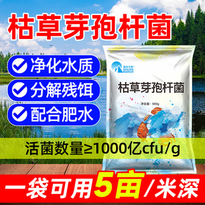 枯草芽孢菌杆菌水产养殖用1000亿生物菌种粉鱼塘净水调水质净化剂