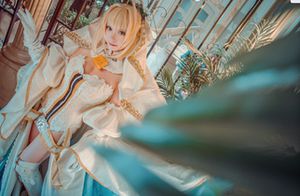 尼禄花嫁满破 尼禄花嫁满破品牌 价格 阿里巴巴