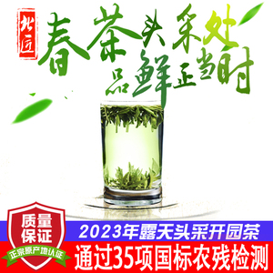 头采 北匠日照绿茶2024新茶叶露天开园茶 山东手工板栗香头茬春茶