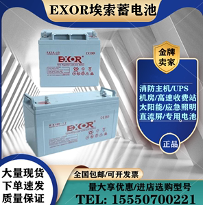 EXOR埃索蓄电池EX65-12V100AH7A12A17A24A38A55A65A120A直流屏UPS