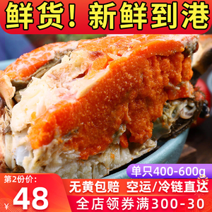 熟冻超大面包蟹鲜活海鲜水产特大即食黄金蟹母蟹珍宝蟹梭子蟹螃蟹