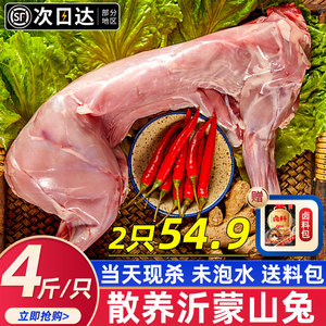 新鲜兔子肉生鲜整只兔肉10斤冷冻批发特大去头现杀农家散养兔商用