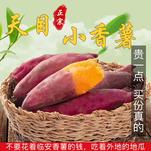 临安小香薯2斤天目山沙地小红薯农家自种小番薯新鲜小紫薯蜜薯