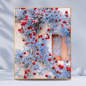 【玫瑰跟月季】数字油画diy手工填色治愈简约花卉唯美油彩装饰画