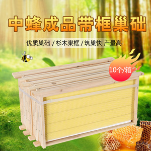 中蜂 巢础 蜜蜂巢础养蜂巢础成品巢框带框杉木中峰巢脾蜂具10个装