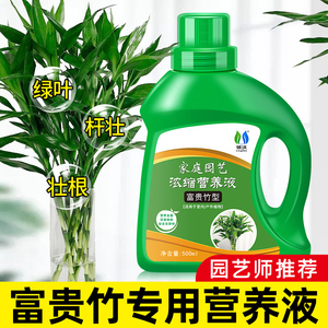 富贵竹专用营养液水培植物竹子生根液转运竹绿植治叶子发黄专用肥