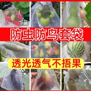 水果套袋防虫防鸟葡萄瓜果防虫袋网袋草莓西瓜保护袋桃子枇杷套袋