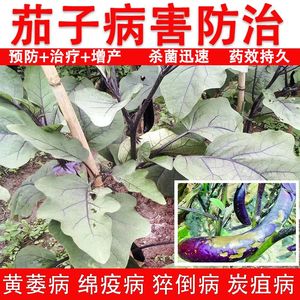 茄子专用药茄子病菌清疫病黄萎病灰霉叶霉病茄子杀菌剂