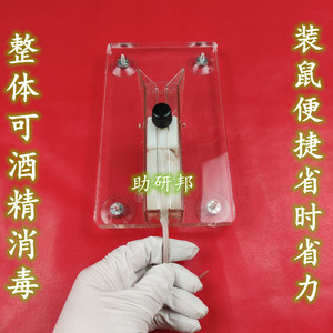 小鼠固定器固定筒实验小白鼠尾静脉注射固定板固定架腹腔抽血保定