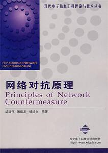 现代电子信息工程理论与技术丛书：网络对抗原理