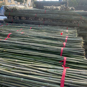 竹竿菜园搭架竹杆条3米豆角黄瓜架子小竹子竹篱笆栅栏围栏架杆棍