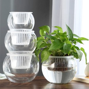 水培花盆透明玻璃器皿鱼缸大号圆形花瓶郁金香蝴蝶兰创意植物容器