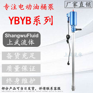 YB系列防爆铝合金电动抽液泵/铝合金防爆油桶泵/YBYB-40L