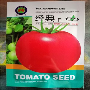 粉太郎粉红番茄种子华星番茄种子高秧粉果硬果西红柿种籽四季高产