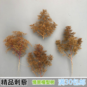 模型树场景diy手工作业建筑沙盘地台制作材料荷兰干燥花刺藜灌木