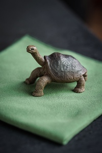 加拉帕戈斯象龟 宜兴紫砂壶雕塑乌龟鳄鱼摆件玩具潮玩造景