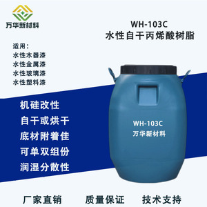 水性有机硅改性丙烯酸树脂自干金属木器玻璃塑胶漆广州万华WH103C