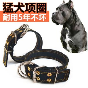 狗狗用品猛犬杜高宠物狗卡斯罗大型犬加厚脖套斗犬比特犬项圈包邮