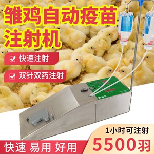 小雏鸡疫苗连续自动注射针器机 水性油性小鸡鸭小鹅注射针器系统