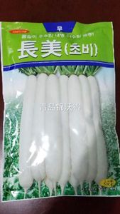 长美 韩国长美 T734 日本大根 长白  腌渍 晒条 原装进口萝卜种子