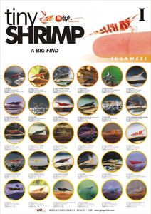 《极龙鱼》渔业 苏拉威西虾 蟹 螺 虾虎 海报收藏版全集 独家供应