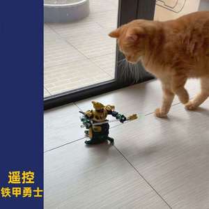 关羽逗猫遥控机器人神器关公远程玩具电动赵云三国铁甲双人战斗