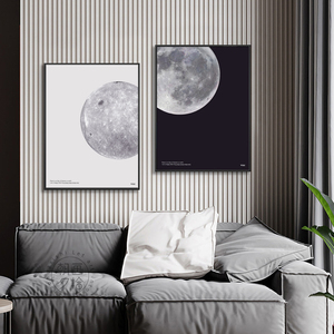北欧装饰画星球挂画玄关入户现代简约太空组画行星黑白色月球地球