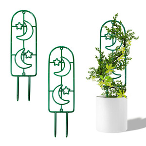2024新款植物支撑架塑料架子园艺花架爬架拼接月季支架爬藤花架