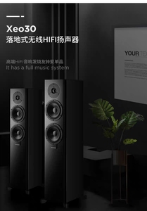 Dynaudio/丹拿 Xeo 30 20无线蓝牙HiFi有源音箱落地式高保真音响