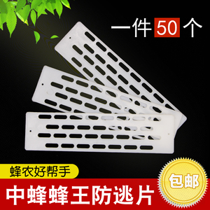 蜂具中蜂防跑片王笼蜂王防逃栅隔王片塑料隔王板全新料50片装包邮