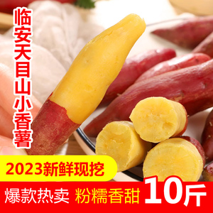 浙江农科临安天目山小香薯5斤新鲜地瓜山芋红皮黄心蜜番薯