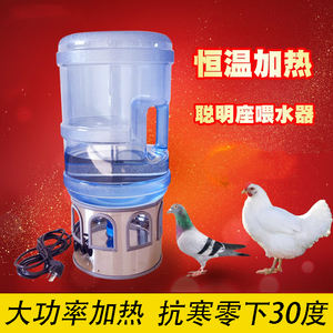 养殖鸽子加热喂水器恒温宠物鸡鸭自动喂水饮水器不锈钢鸭小鸡喝水