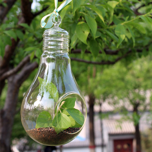 创意灯泡微景观生态瓶透明玻璃花瓶多肉植物盆栽花器室内展会吊瓶