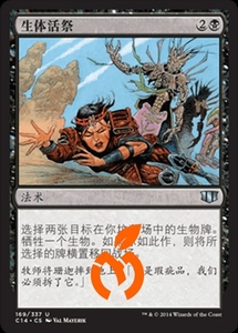 [真橙]万智牌 MTG 平/闪 妖精秘教徒 核心系列2014 M14