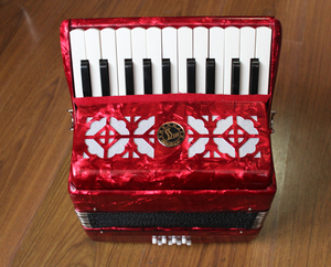 圣杰手风琴8贝司22键手风琴儿童初学 (送背带和琴包)  生日礼物