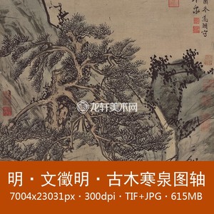 文徵明 古木寒泉图轴 明代名画 国画水墨古松苍柏山水画 电子图片