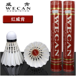 红威肯 威肯（WECAN） 飞行稳定比赛用球 水鸭全圆