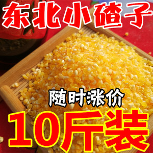 【10斤】东北玉米碴小碴子玉米渣苞米糁农家自产棒碴子粥粒散装