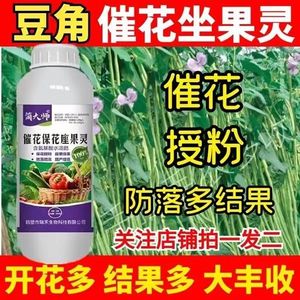 豆角授粉座果精豆角授粉花娘子豆角专用保花保果灵催花促花防落素