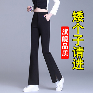 开叉微喇裤女秋季2024新款垂感小个子九分喇叭裤高腰显瘦休闲西裤