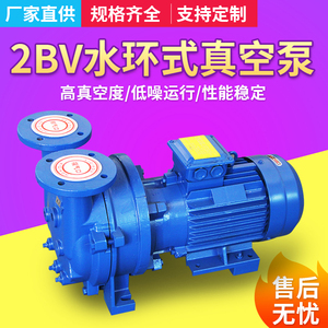 2BV水环式真空泵 工业用抽气泵循环水高真空负压泵防爆不锈钢配件
