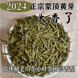 2024年新茶茶叶老川茶群体种明前春茶蒙顶黄芽黄茶叶高山特级散装