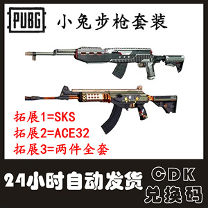PUBG绝地求生Steam皮肤CDK兑换码小兔学院ACE32步枪SKS套装激活码