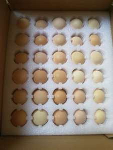 江西安义农家自养土鸡蛋黑鸡蛋绿壳鸡蛋新鲜纯天然自养30枚