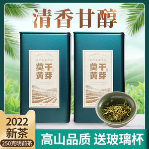莫干黄芽2022新茶高山绿茶叶春茶一级清香型耐泡250克散装德清茶