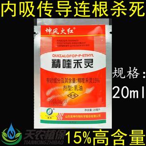 15%精喹禾灵 大蒜葱姜魔芋辣椒大豆油菜地瓜西瓜地专用除草剂农药