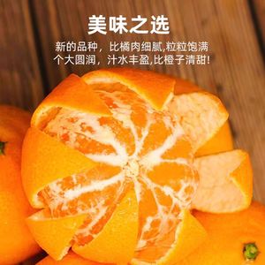 四川炫蜜QQ柑晚熟沃柑新鲜水果橘子纯甜化渣少核10斤装包邮农产品